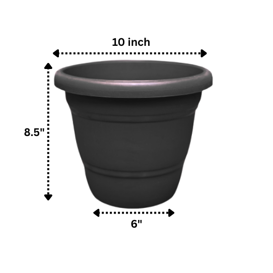 NG-00055-10-Black