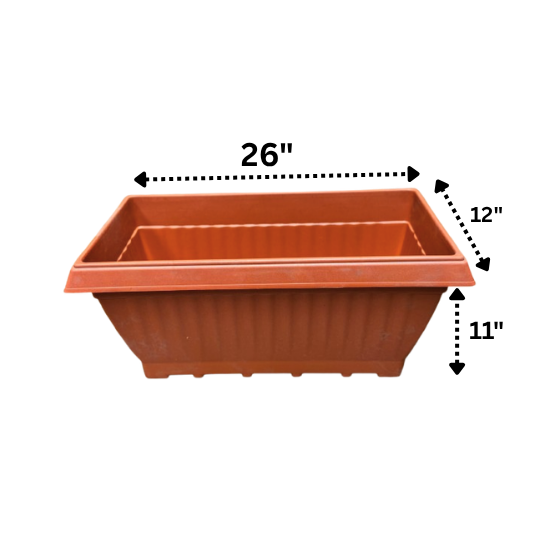 NG-00057-Red-5-Rectangle-Plastic