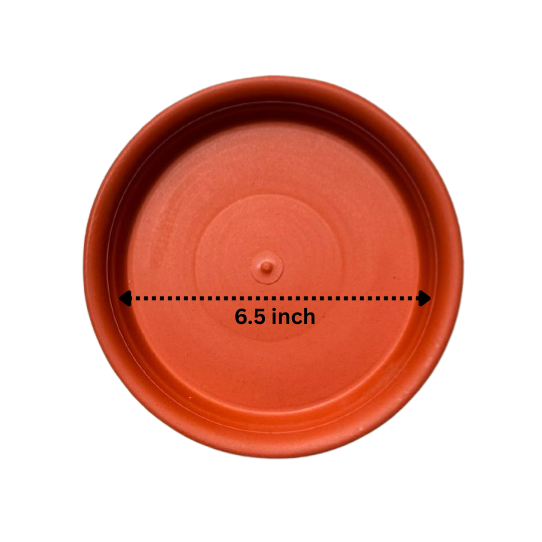 NG-00480-6-Red