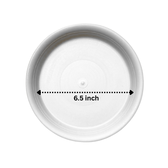 NG-00480-8-White