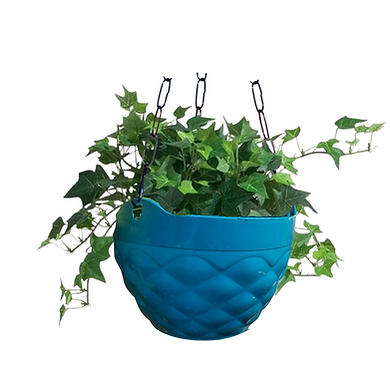 NG-00039-Blue-Plastic